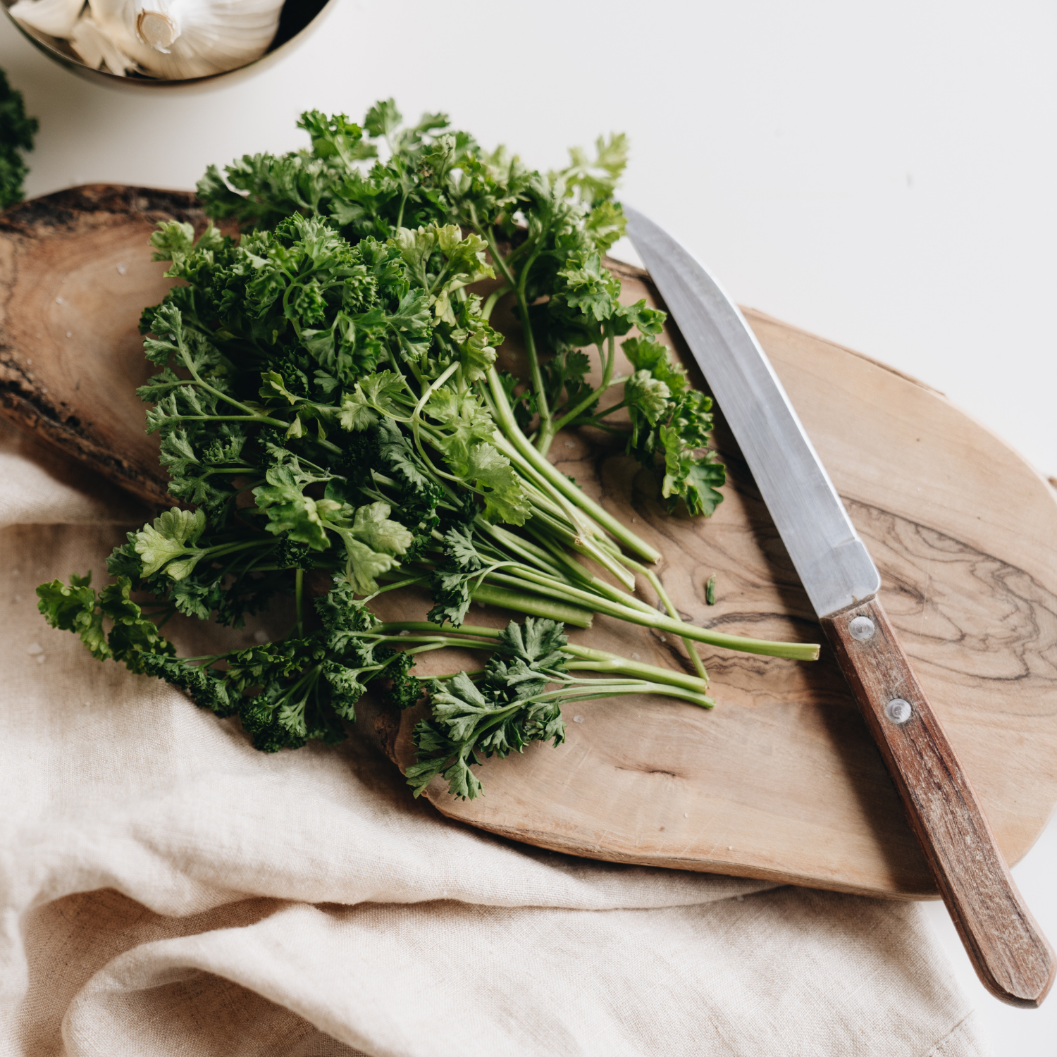 The Gut–Longevity Connection